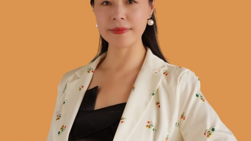 VI设计代理加盟扶持政策解析：揭秘行业红利与合规要点