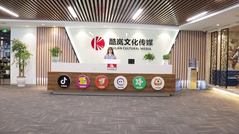 品牌策划加盟：揭秘十大品牌排名背后的逻辑